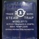Steam Trap 317 Taiwan 1/2" (DN15)