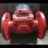 SENSUS Water Flow Meter DN50