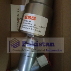 Stainless Steel Pneumatic Y-Valve Pakistan