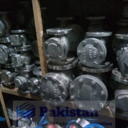 Stainless Steel Check Valve Price in Pakistan