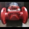 SENSUS Water Flow Meter DN50 Price in Pakistan