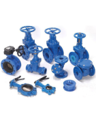 Cast Iron Valves