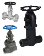 All Types of Forged Steel Valves | Class 800 & High-Pressure Valves | PAKCIA